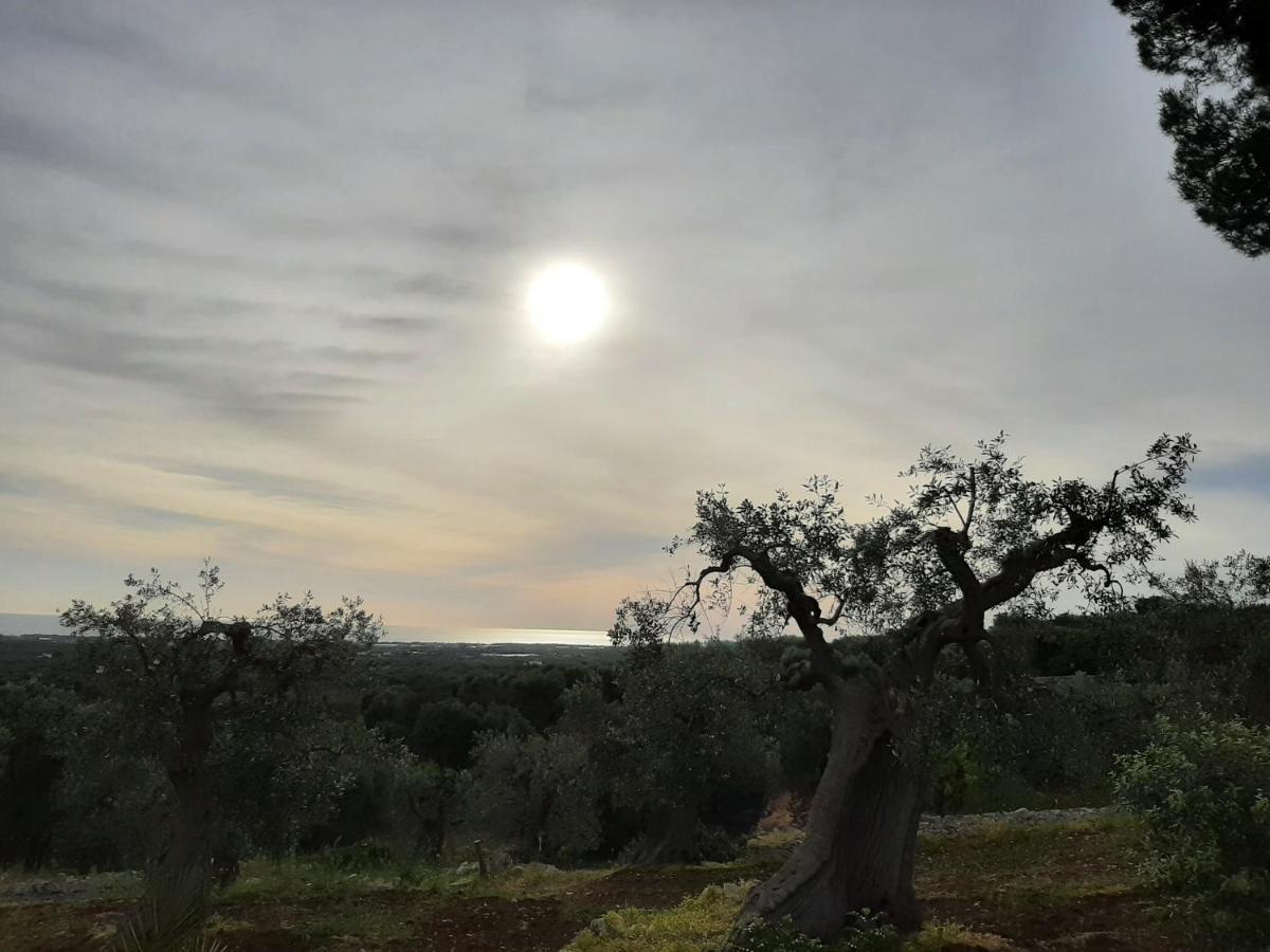 Alla Panoramica Monopoli Dış mekan fotoğraf