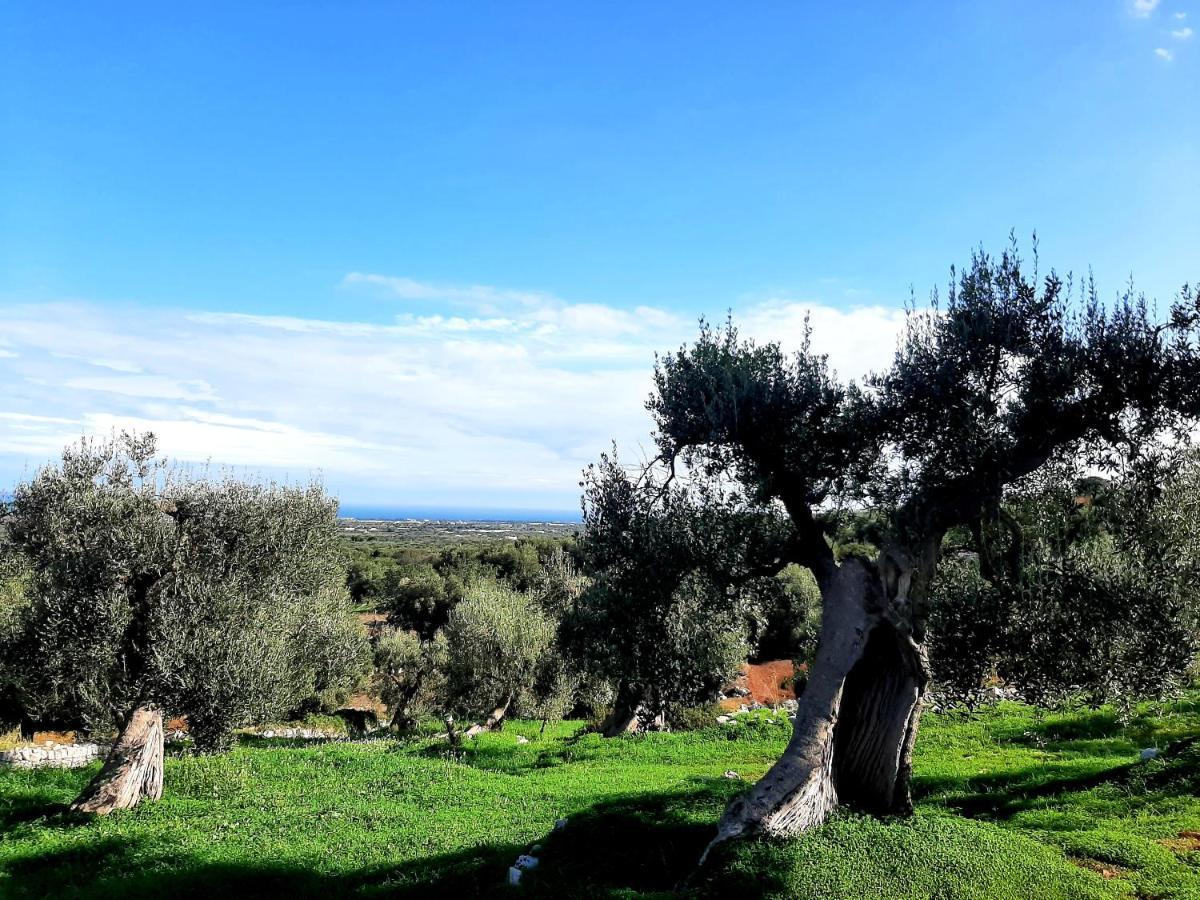 Alla Panoramica Monopoli Dış mekan fotoğraf