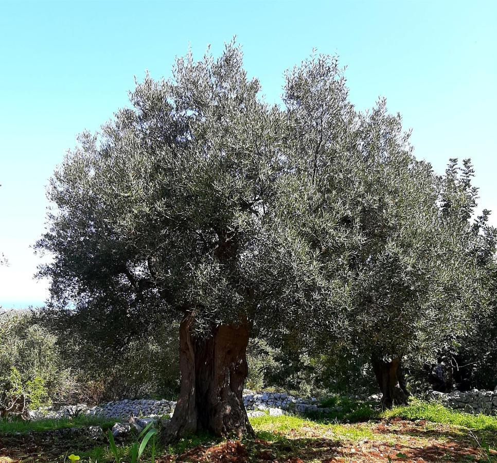 Alla Panoramica Monopoli Dış mekan fotoğraf