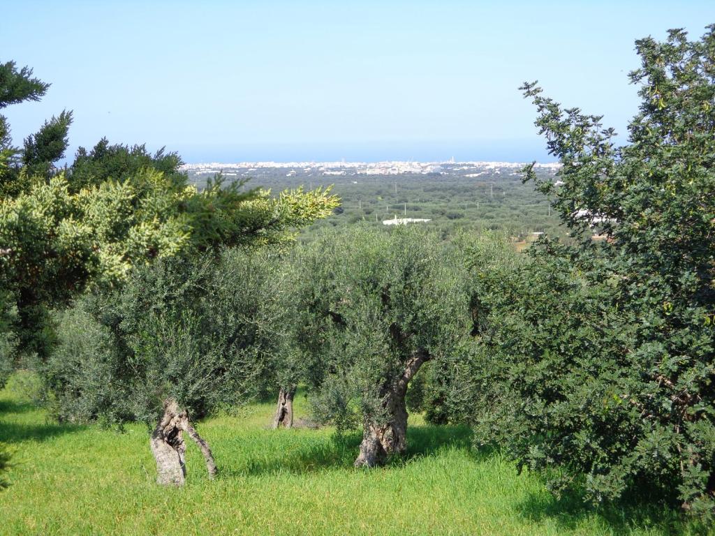 Alla Panoramica Monopoli Dış mekan fotoğraf