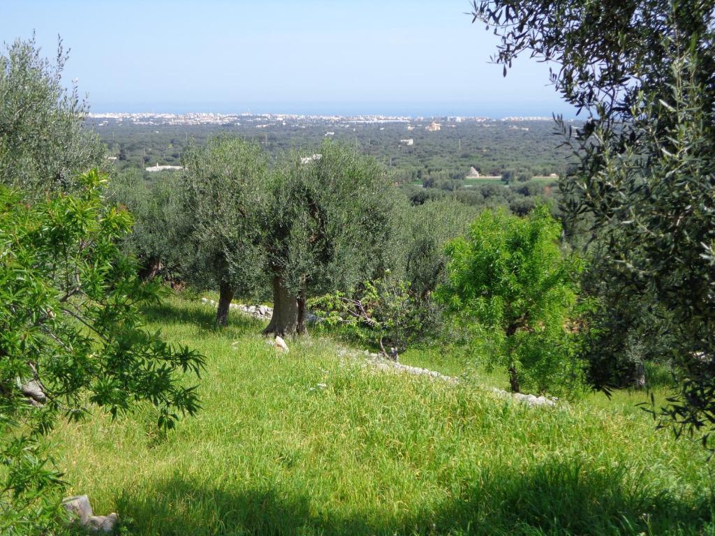 Alla Panoramica Monopoli Oda fotoğraf